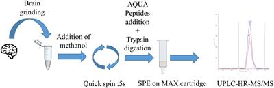 New Antibody-Free Mass Spectrometry-Based Quantification Reveals That C9ORF72 Long Protein Isoform Is Reduced in the Frontal Cortex of Hexanucleotide-Repeat Expansion Carriers